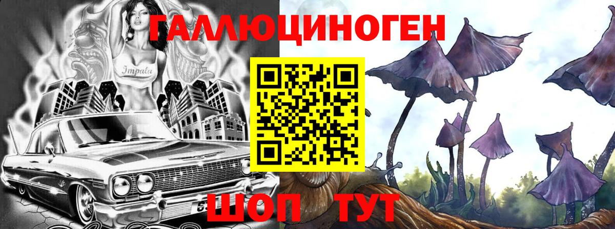 Псилоцибиновые грибы Psilocybe  купить наркоту  Саров  Псилоцибиновые грибы прущие грибы  Вход с VPN 