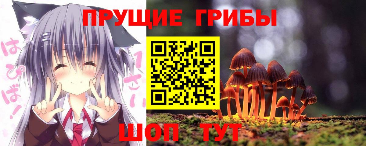 Галлюциногенные грибы прущие грибы Саров